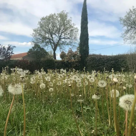 Mas De Tourres Villa